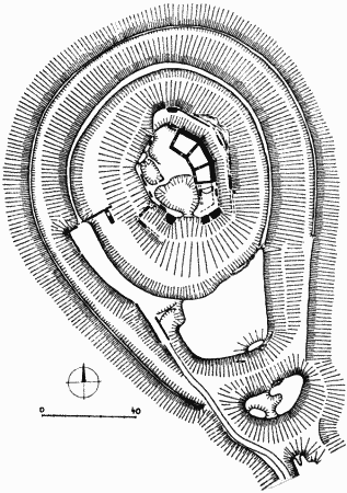 pdorysn pln