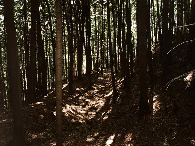 příkop a val parkánu na severní straně jádra