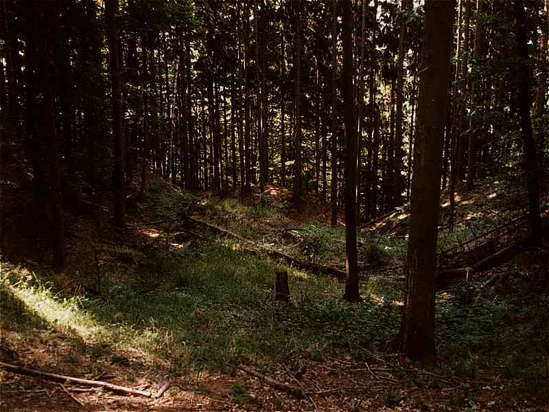 eln pkop pedhrad - pohled od severu k jihu